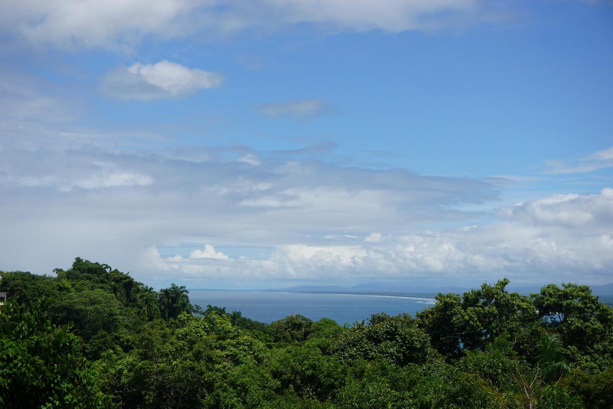 Hotel Planeta Sano Manuel Antonio Zewnętrze zdjęcie