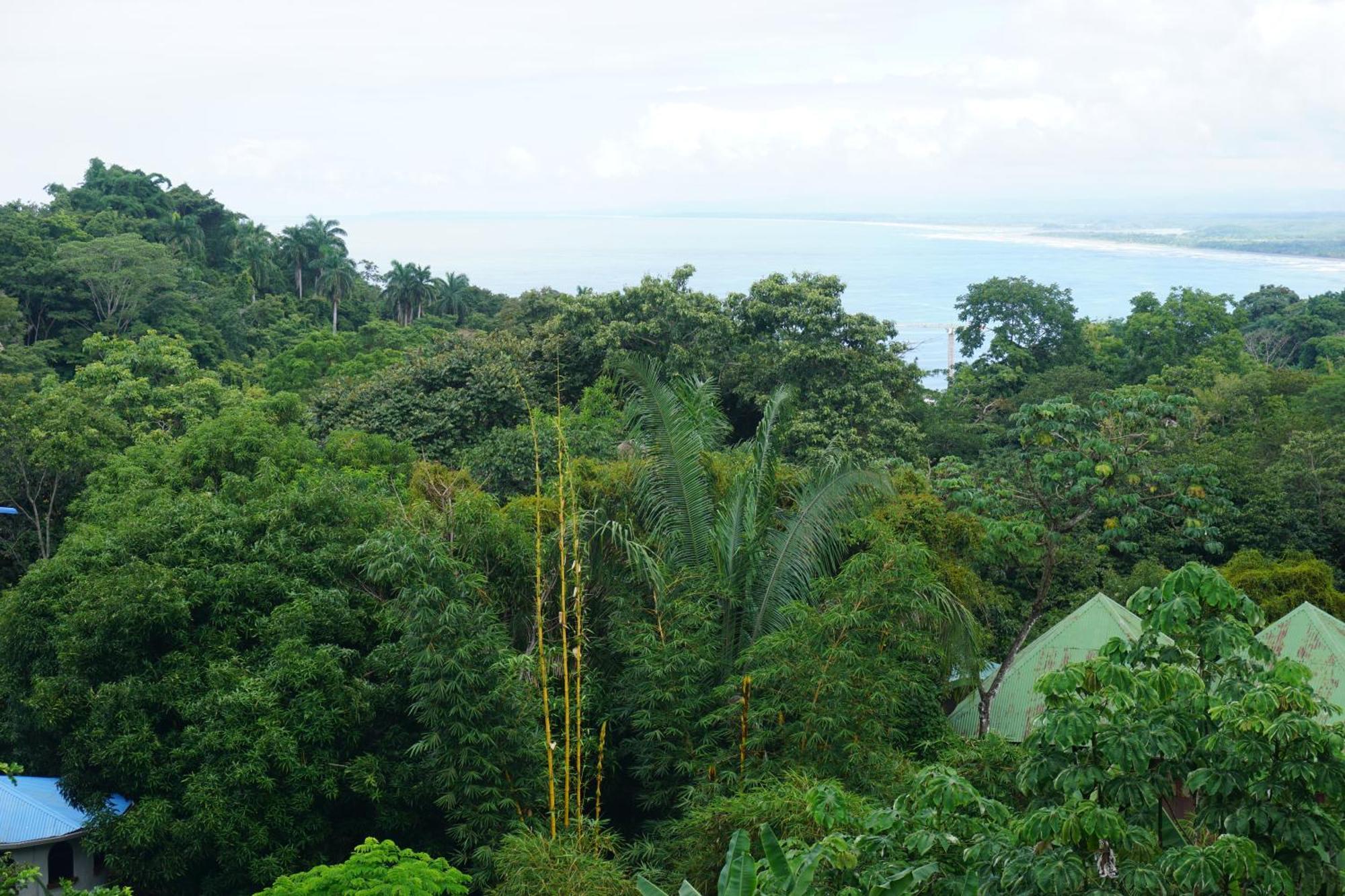 Hotel Planeta Sano Manuel Antonio Zewnętrze zdjęcie